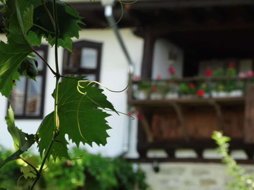 Osmarski Houses Osmar  Exterior foto